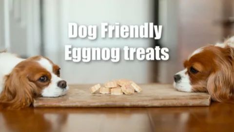 Two dogs looking at dog-friendly eggnog treats on a wooden cutting board.