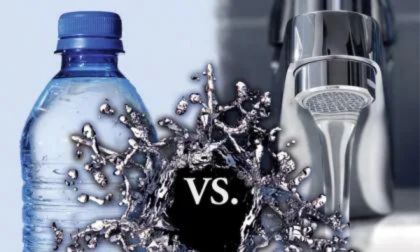 Comparison of tap water and bottled water showing which is safer for birds to drink