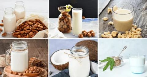 A collage of six different plant-based milk alternatives, including almond, cashew, hazelnut, and coconut milk, illustrating the variety of nutritious dairy-free options vegans choose for better health and wellness.