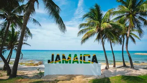 A scenic beach view in Jamaica with palm trees and clear blue water, representing the safe drinking water conditions in popular tourist areas like Montego Bay, Ocho Rios, and Negril.