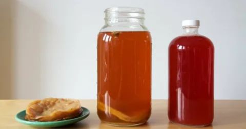 “Two jars of homemade kombucha with SCOBY on the side, illustrating safe serving sizes and moderation tips for breastfeeding mothers.”